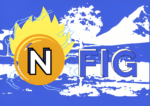 N FIG Logo min 1