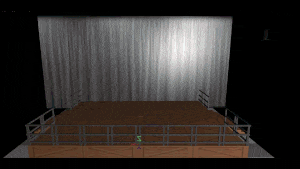 שטיפה של הבמה