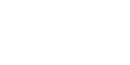 גרפיקה שיווקית: <strong>אניטה קרפל</strong>